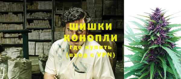 apvp Алзамай