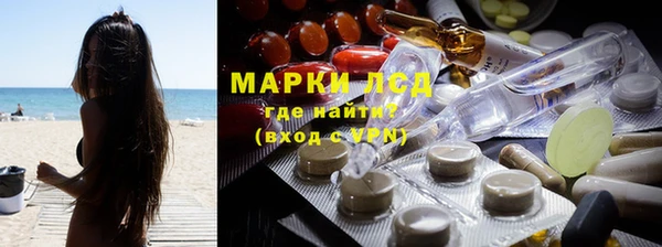 apvp Алзамай